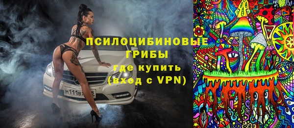 мдпв Дмитров