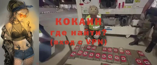 гидра Гусев