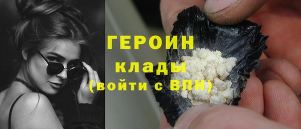 гидра Гусев