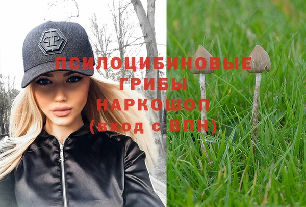 трава Дмитриев