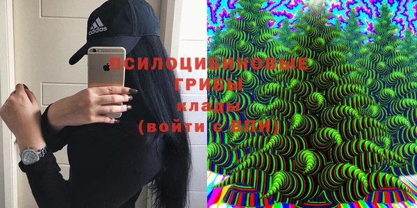 гидра Гусев
