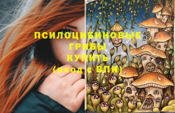прущая мука Дмитровск