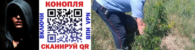 Бошки Шишки тримм  Купить закладки  Кинешма 